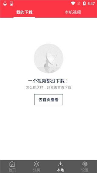 海豚动态壁纸app 