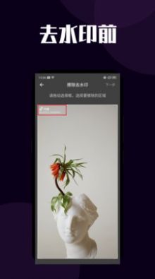 闪电短视频去水印app最新版 