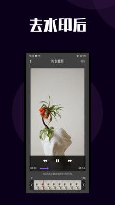 闪电短视频去水印app最新版 