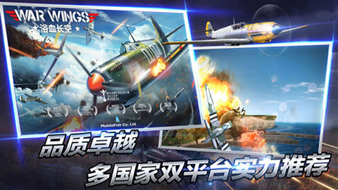 浴血长空(War Wings) 