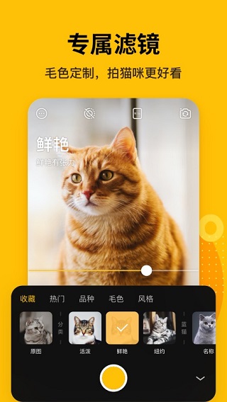 爪叽app 