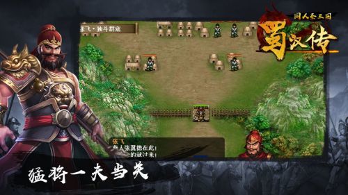 圣三国蜀汉传无限元宝版