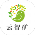 云智矿app