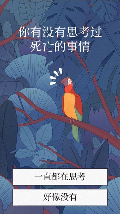 bird along游戏