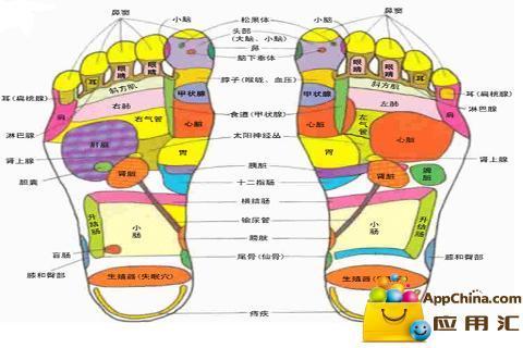 图解脚部按摩