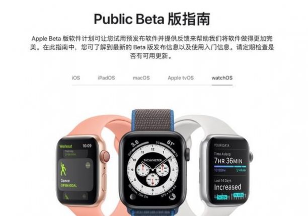 苹果watchos 7.6beta1描述文件