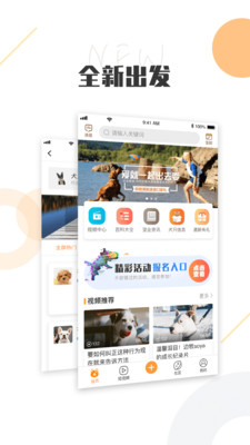 k9犬网app