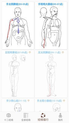 经络穴位3d