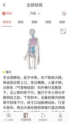 经络穴位3d