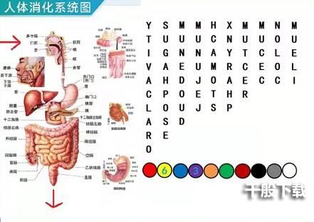 犯罪大师密室逃脱答案是什么？八月赛季竞技赛场密室逃脱答案解析图片3