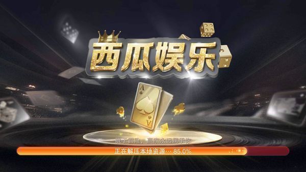 西瓜娱乐2.5破解版