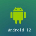 android12 beta4