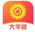 爱读大字版app