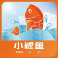 小鲤鱼礼品卡app