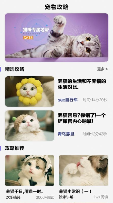 可爱喵喵壁纸app