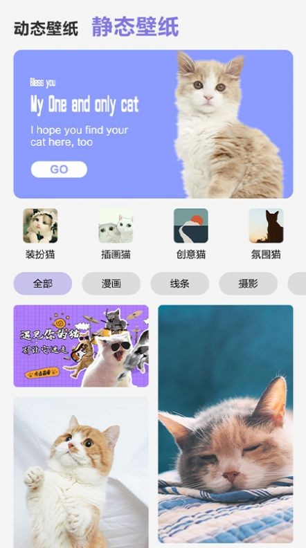 可爱喵喵壁纸app