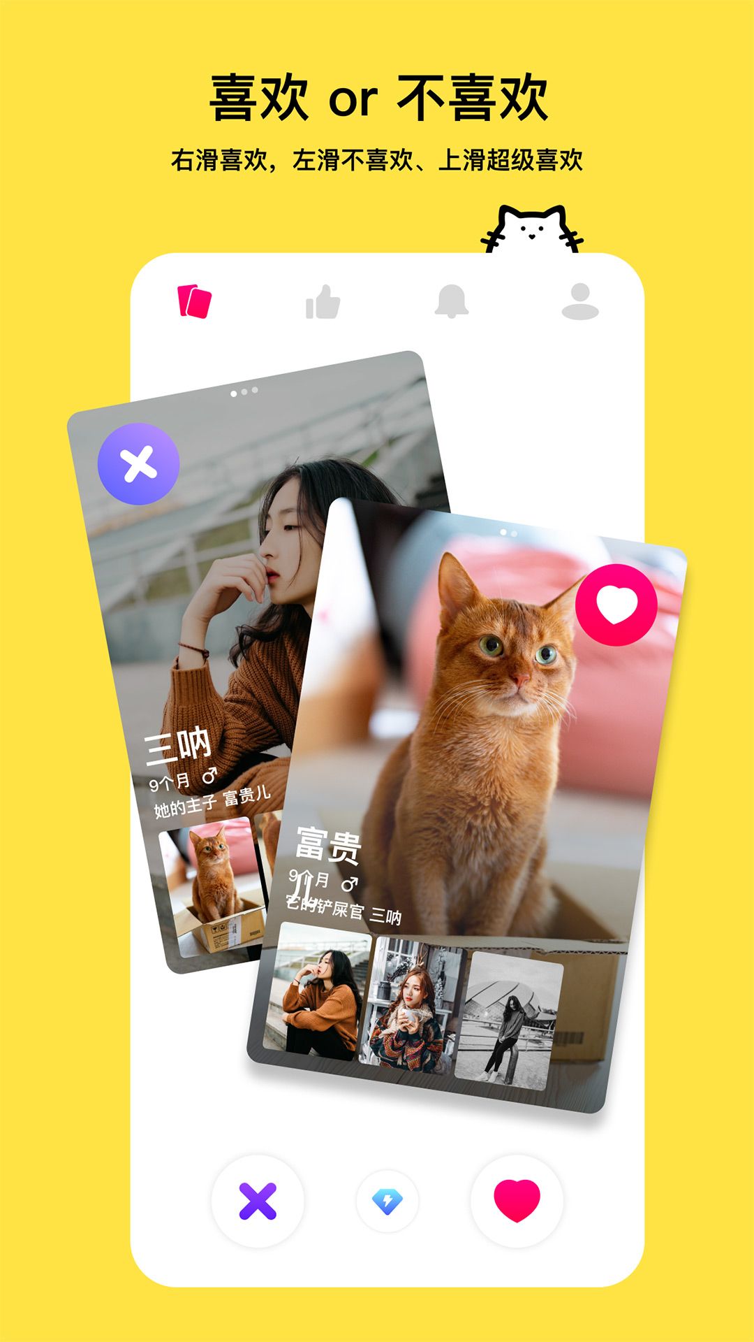 thinkpet宠物社交app