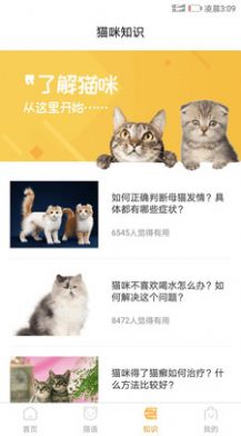 猫咪情绪识别软件