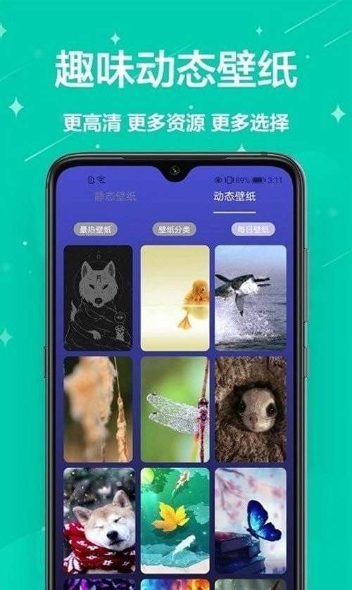 主题君app