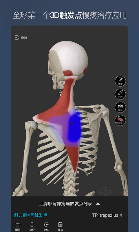 维萨里3d解剖