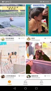 红小狗视频