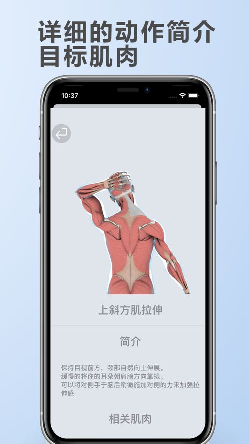 拉伸解剖app