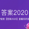 你的2020搜索账单答案