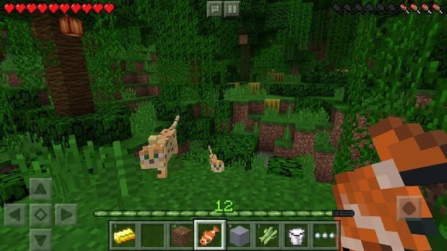 我的世界minecraft基岩版1.17.40.20国际服最新官方版 