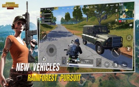 pubgmobile国际服体验服官方手游下载 