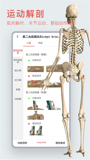 运动功能解剖教学系统