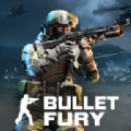 bullet fury