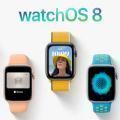 苹果watchos 8.3开发者预览版beta4描述文件更新升级 v1.0