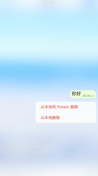 potato chat 汉化版