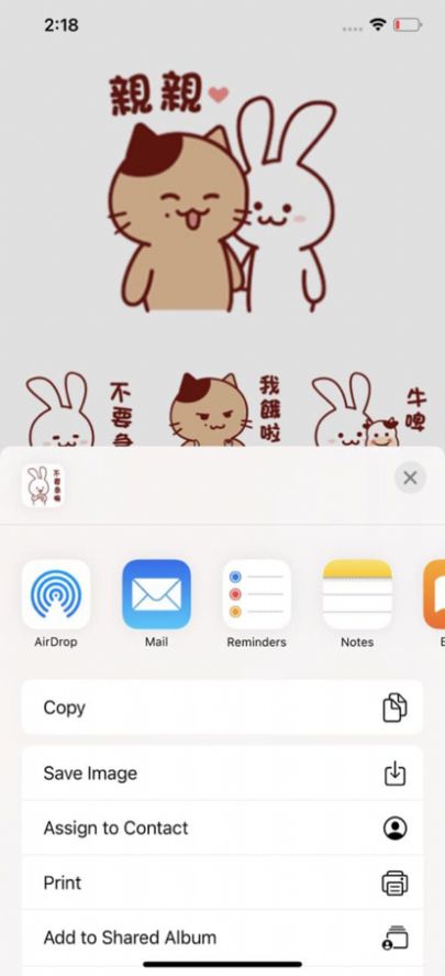 猫和兔高清图片