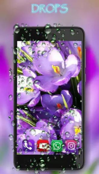 crocus spring app