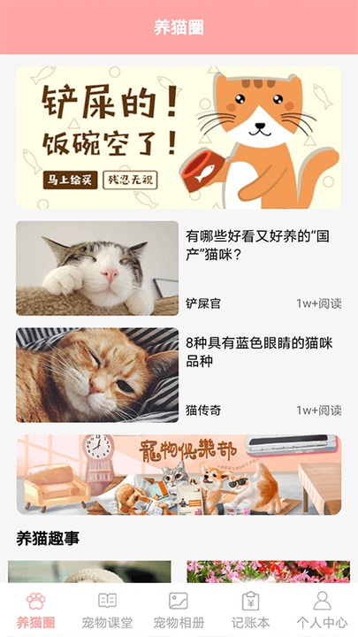 遇见我的猫