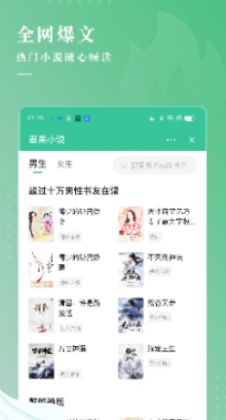 翠果小说app