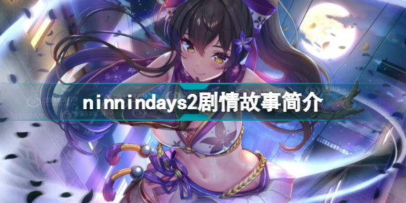 ninnindays2剧情介绍 ninnindays2剧情故事简介