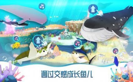 你好鲸鱼游戏安卓版（hello whale） v1.39