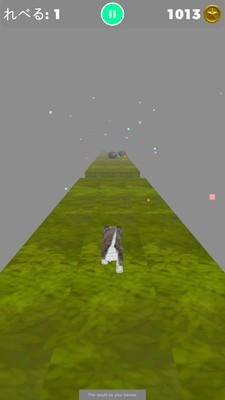 萌猫酷跑手机游戏安卓版 v1.06