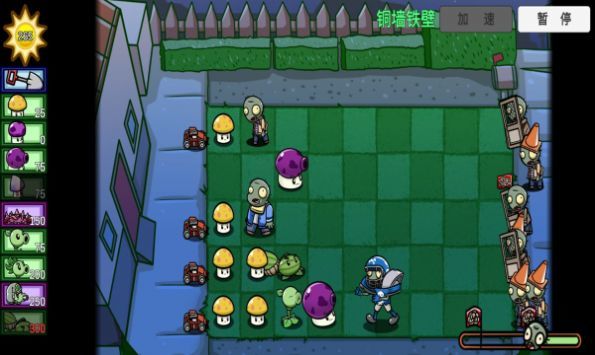 pvz_bt 宅宅萝卜自制军图僵尸版