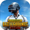 pubg mobile gm服