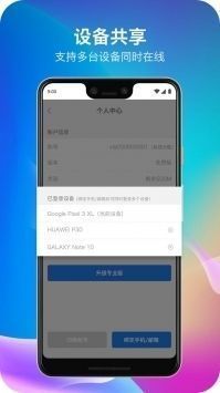 老王vqn 2022版下载