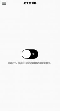 老王加速 官网版最新版