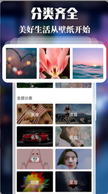 免费主题壁纸app官方版 v1.6