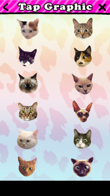 照片编辑 catwang