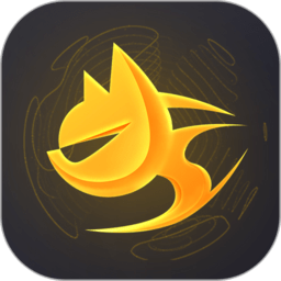 猎豹加速器testflight