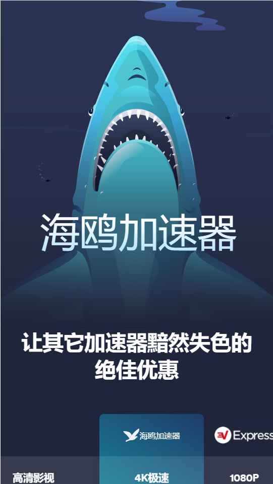 海鸥加速器 